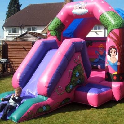 Princess Bouncy Castle and Slid
