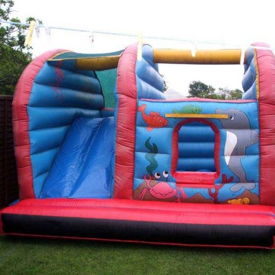 Slide and Bounce Bouncy Castle